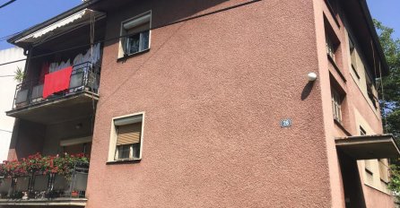 NAPADA MOZAK I KIČMENU MOŽDINU! Ukoliko vidite ovo u svom stanu, ne prilazite mu! NE DIRAJTE NIŠTA RUKAMA