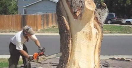 KUPIO KUĆU SA ISJEČENIM STABLOM U DVORIŠTU: Umjesto da izvadi korijen, napravio REMEK DJELO!