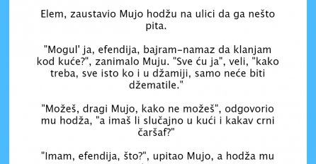 VIC DANA: Mujo i Bajram