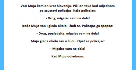 VIC: Mujo i slovenski policajac