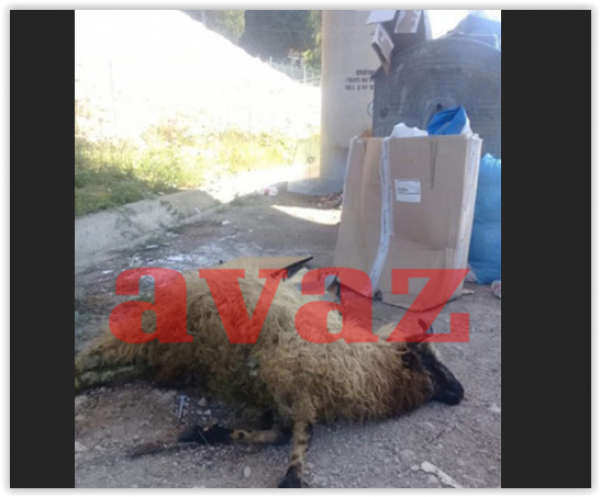 screen-shot-08-11-19-at-09-58-pm-001