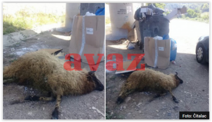 screen-shot-08-11-19-at-09-58-pm