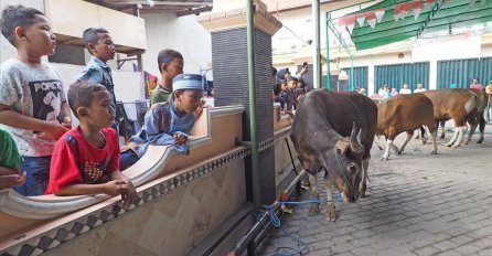 Sedmero djece u Indoneziji štedjelo skoro godinu da bi kupilo kurban za Bajram