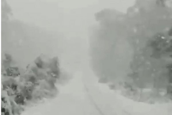 68928362-503982667098359-2660434422544728064-n