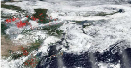 FOTO: Svi smo se zgražali nad požarom Notre-Damea. Sada gore "pluća svijeta"