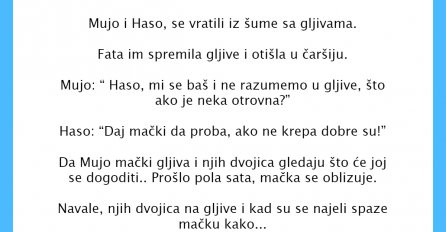 VIC DANA: Gljive i mačka