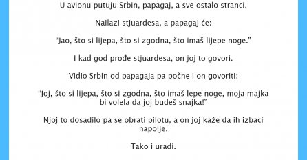 VIC DANA: Srbin i papagaj