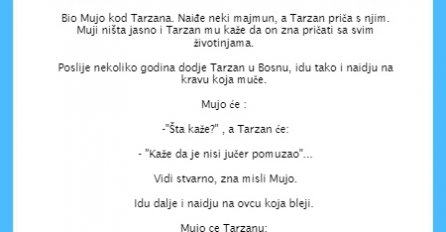 VIC DANA: Bio Mujo kod Tarzana
