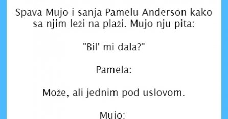 VIC DANA: Mujo i Pamela Anderson