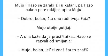 VIC DANA: Mujo i Haso se zarakijali u kafani