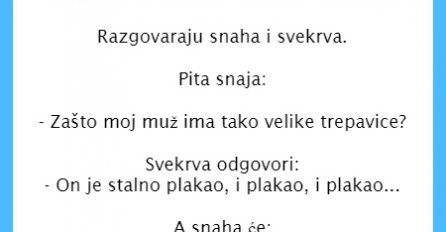 VIC DANA: Svekrva i snaha