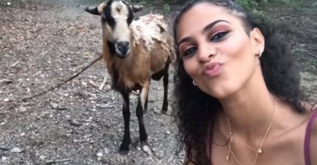 HTJELA JE DA NAPRAVI SELFIE SA KOZOM: A zbog onog što se desilo u narednih nekoliko sekundi INTERNET VRIŠTI OD SMIJEHA!