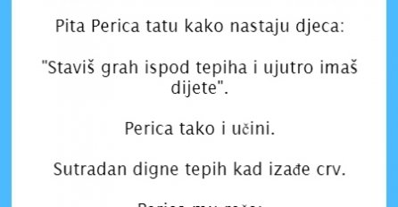 VIC DANA: Perica pravi djecu