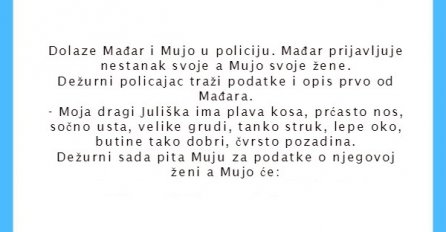 VIC: Potraga za Fatom