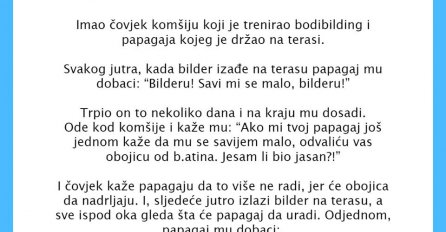 VIC DANA: Imao čovjek papagaja