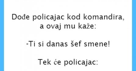 VIC DANA: Policajac 'šef smene'