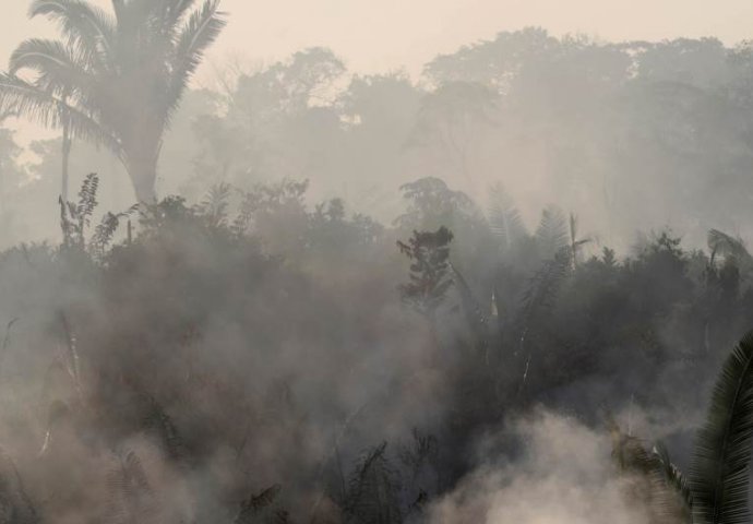 "Gori Amazonija, pluća našeg planeta koja proizvode 20 posto kisika"