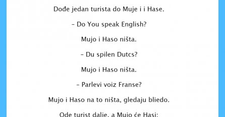 VIC DANA: Mujo, Haso i strani jezici