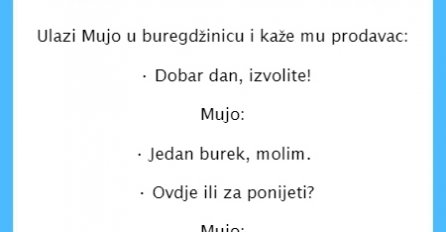 VIC DANA: Mujo u buregdžinici