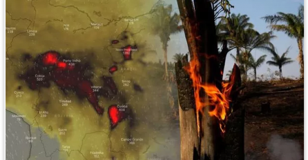 VATRA GUTA SVE PRED SOBOM! Čuju se krikovi životinja koje gore!  TRUMP ŠALJE VOJKU da gase vatru koja guta Amazon