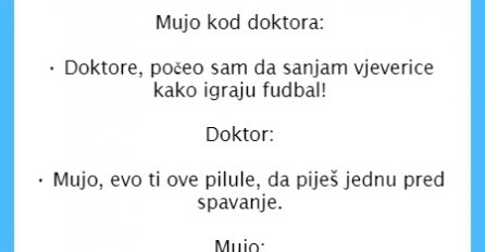 VIC DANA: Mujo sanja vjeverice