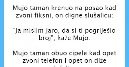 VIC DANA: Mujo krenuo na posao, kad zazvoni telefon