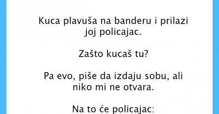 VIC DANA: Kuca plavuša na banderi