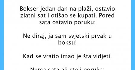 VIC DANA:Bokser na plaži
