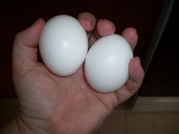 oljustila-ga-je-i-pokazala-unuci-vidi-ono-sto-je-nekada-bilo-mekano-sada-je-postalo-tvrdo-od-5