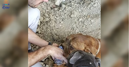 Šetao je svog psa kada je primjetio nešto čudno zakopano u zemlji. Počeo je otkopavati zemlju, a onda je zanijemio… (VIDEO)