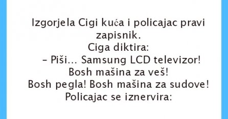VIC: Ciga i policajac