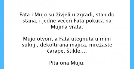 VIC DANA: Fata i Mujo
