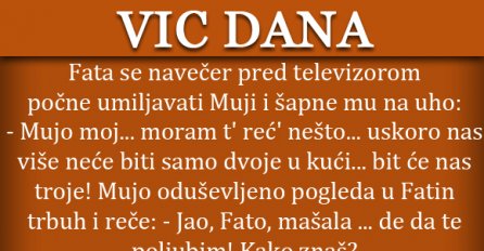 VIC DANA: Fata se navečer pred televizorom počne umiljavati Muji