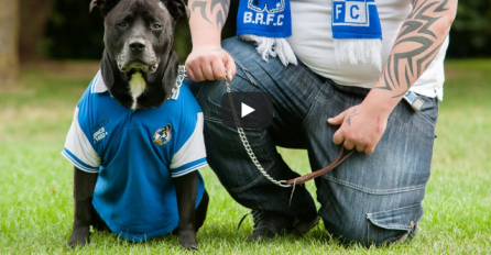 EMOTIVNA PRIČA: Bio je odlučan da sebi oduzme život, a kad je ugledao šta njegov pas nosi u ustima, počeo je da jeca! VIDEO