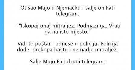 VIC DANA: Otišao Mujo u Njemačku