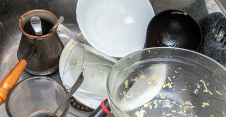 Tijana je otkrila KAKO NIJEMCI PERU SUĐE i ništa gadnije niste čuli: Poslije OVE METODE zgadiće vam se sve što ste pojeli