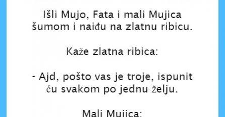 VIC DANA: Fata, Mujo i Mujica u šumi