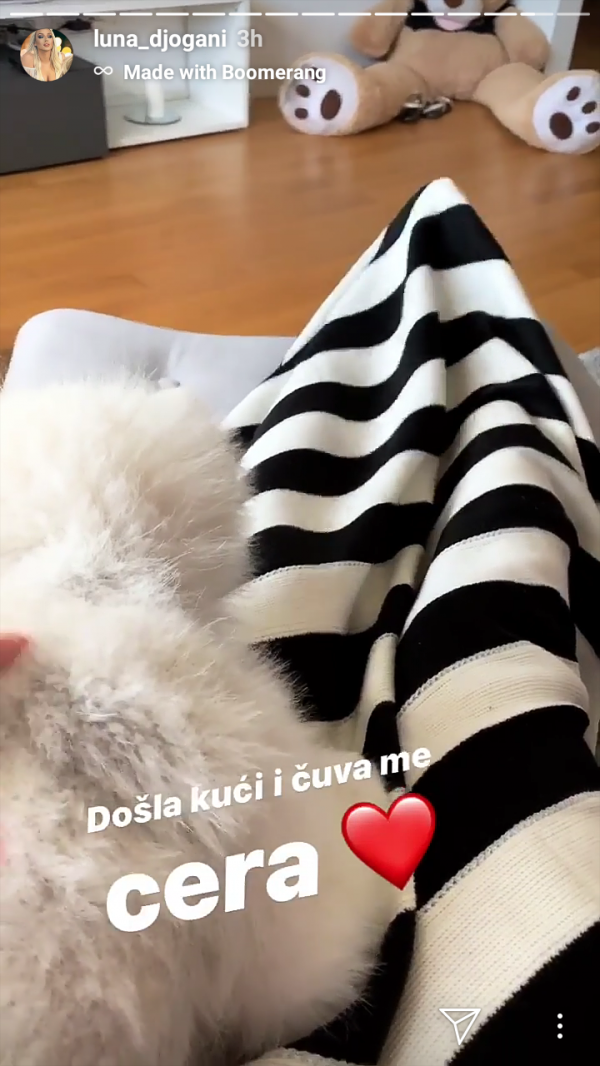 69690712-2359349487638038-3842491108386930688-n