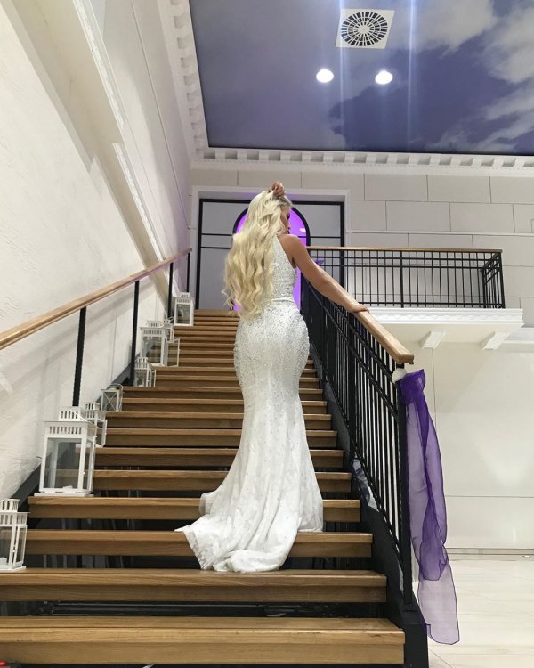 67818607-482418025639149-7438331226185951502-n1