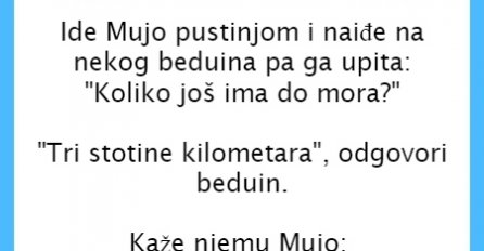 VIC DANA: Koliko ima do mora?