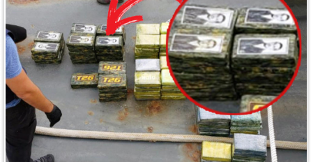 OVO SU SRBI KOJI SU UHAPŠENI ZA ŠVERC 800 KILA KOKAINA: Radili sa Rusem i Meksikancem, a kad vidite kakvu su sliku stavljali na pakete sa drogom, NEĆETE MOĆI DA VERUJETE! (FOTO)