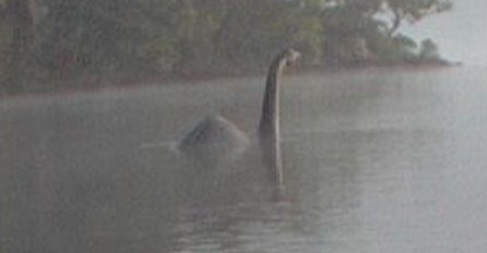 KONAČNO RIJEŠENA MISTERIJA O ČUDOVIŠTU IZ LOCH NESSA:  Naučnici testirali DNK i zaključili da je u jezeru OVA džinovska životinja! 