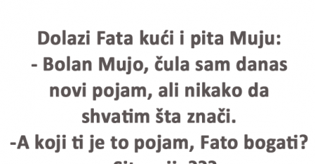 VIC DANA: Fata naučila novi pojam