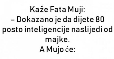 VIC DANA: Mujo i inteligencija