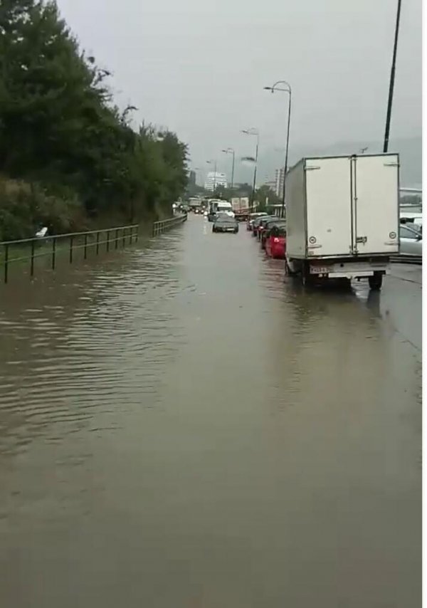 70321448-894099050947013-1798689826338242560-n