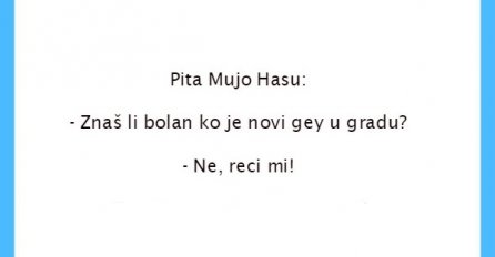 VIC: Novi gey u gradu