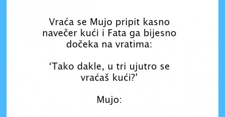 VIC DANA: Vraća se Mujo pripit kasno navečer kući