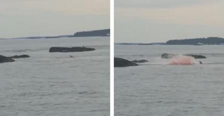 TURISTI SA BRODA GLEDALI KAKO SE MORE ZACRVENILO I VRIŠTALI: "O moj Bože, ovo je strašno!