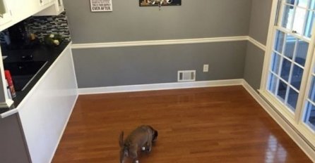 BACIO JE STARI, RASKLIMANI TREPEZARIJSKI STOL A ONDA JE ŽENA UZELA STVAR U SVOJE RUKE: Napravila je nešto  nevjerovatno i prisutne ostavila ZAPANJENIMA!