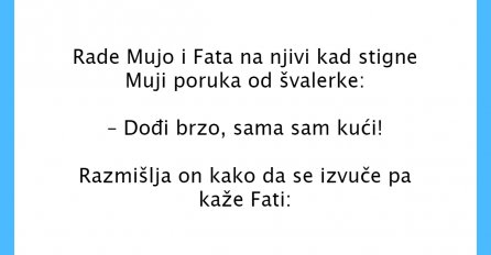 VIC DANA: Rade Mujo i Fata na njivi